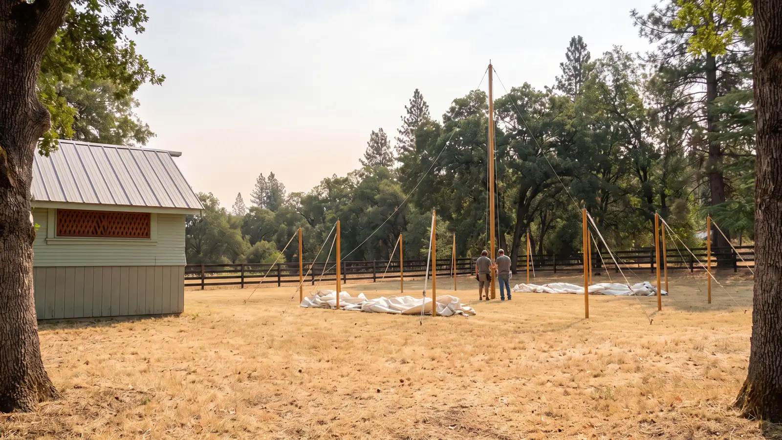 The lawn from one fixed viewpoint, tent poles going up
