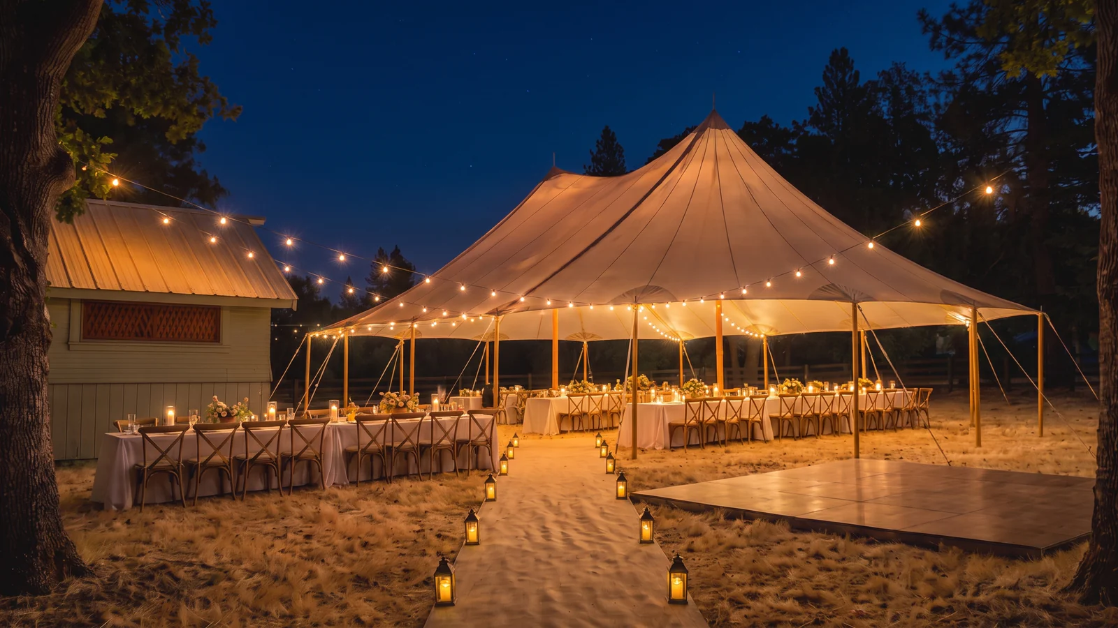 The lawn from one fixed viewpoint, night under string lights